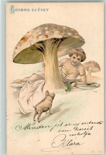 1902 Erotik Jugendstil Frau liegt unter dem Pilz , Schwein Neujahr