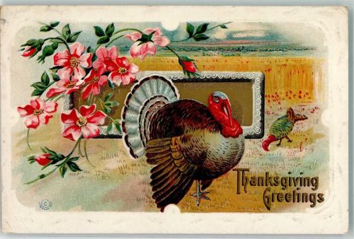 Truthahn Blumen Lithographie Thanksgiving Greetings