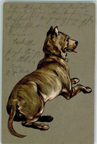 Lithographie Dogge 1902 Prägedruck