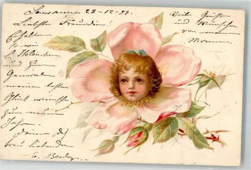 1899 Rosenblüte