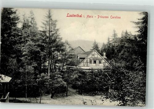 Lautenthal 1909 Hotel Prinzess Caroline