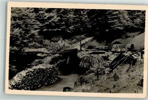 Schleusingerneundorf 1953 Holzstapel
