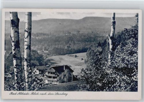 Steinberg