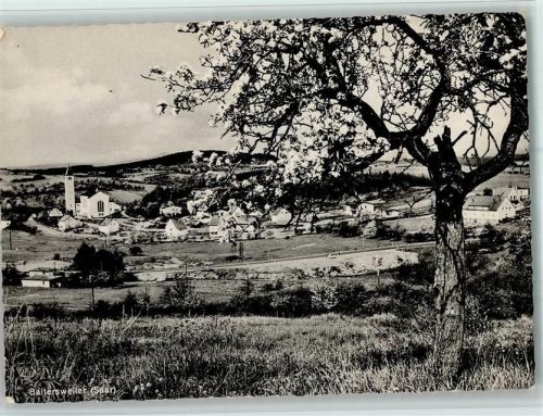 Baltersweiler Ortsansicht