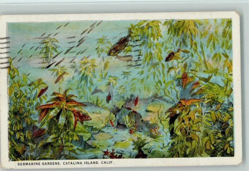 Submarine Gardens, Catalina Island, Calif. 1925 AK