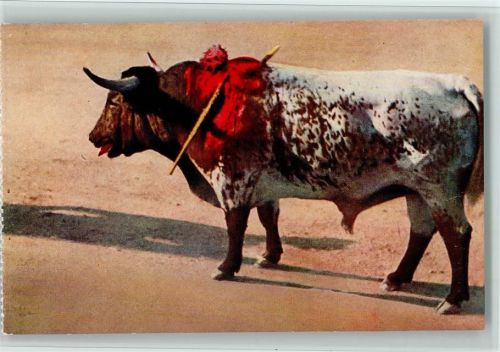Nimes Stierkampfarena getroffener Stier