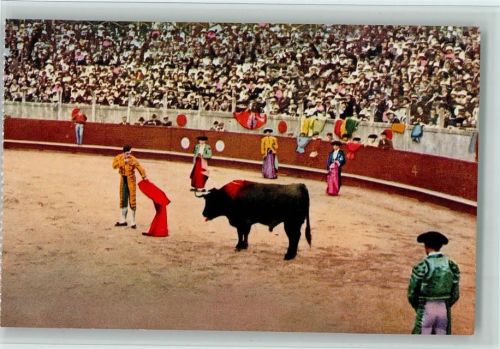 Nimes Stierkampfarena Torero vor dem letzten Stoß
