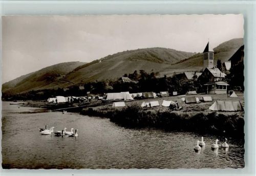 Bullay Campingplatz Mosel Enten Zelte