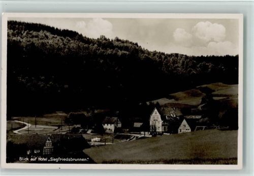 Grasellenbach Blick auf Hotel Siegfriedsbrunnen