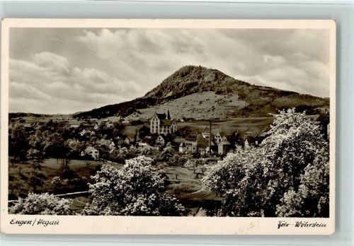 Engen Blick nach Engen Baumblüte Foto Wöhrstein