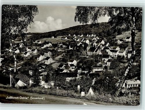 Dahle Ortsansicht Birken