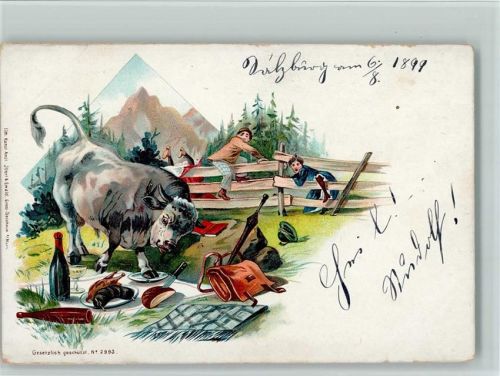 1899 Picknick - Ochse stört - Humor