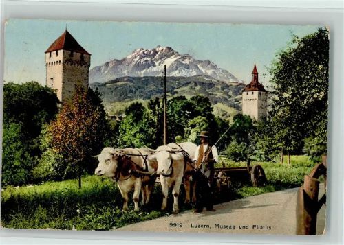 Luzern 1924 Verlag Wehrli 9919 - Ochsengespann