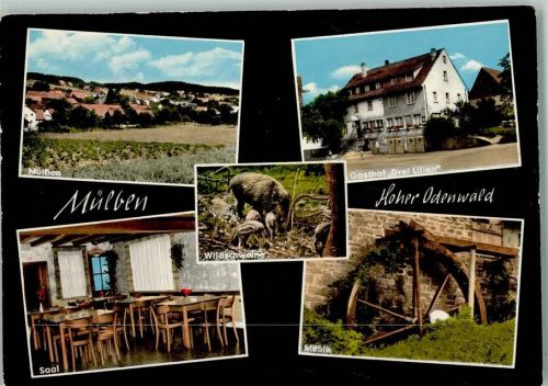 Mülben Gesamtansicht Gasthof Drei Lilien Innenaufnahme Saal Wildschweine Mühle Mehrfachaufnahme