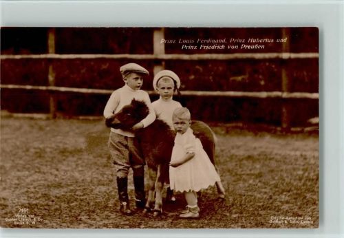 Nr. 7191 Liersch - mit Louis Ferdinand und Prinz Friedrich von Preussen