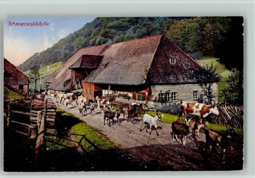 GMT Verlag color Schwarzwald Idylle , Kühe und Ziegen werden durch das Dorf getrieben