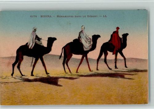 Biskra - Volkstypen auf Kamele ca 1920 AK