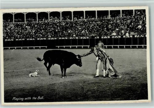 Playing with the Bull - Hund in der Arena ca 1936 AK