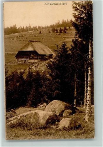 Schwarzwald-Idyll - Bauernhaus - Verlag Hinsch Nr. 3 AK