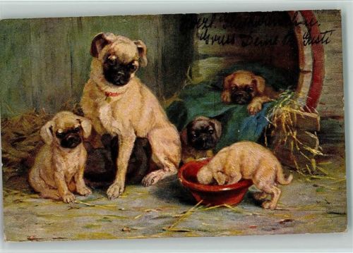 Serie 1040 Kätzen und hunde Nr. 1 AK Welpen Pekinesen