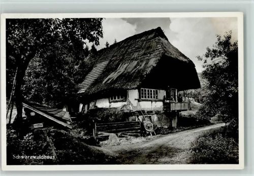 GMT Verlag 425 B 131 CeCe Foto AK