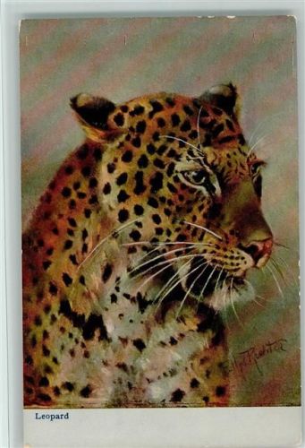 Leopard signiert