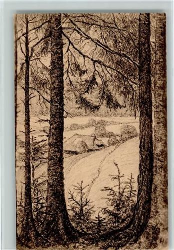 Nr. 19 sign Stücklin - Studien aus dem Schwarzwald , sonnige Wiese Schwarzwald Maler 1930