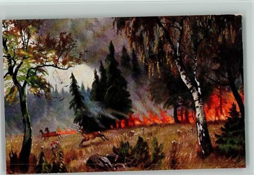 Waldbrand - Tiere flüchten ca 1915 AK
