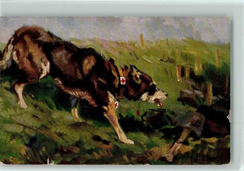 Der Sanitätshund im Felde Nr. 8 AK Rotes Kreuz