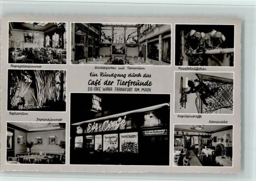 Frankfurt Café der Tierfreunde Eis-Café Wipra Innenaufnahmen Papageienzimmer Aquarium Japanzimmer Wintergarten mit Terrarium Pinelohräffchen Kapuzineraffe Kaminecke Mehrfachaufnahme