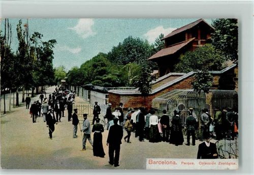 Barcelona 1912 Parque - Zoologica