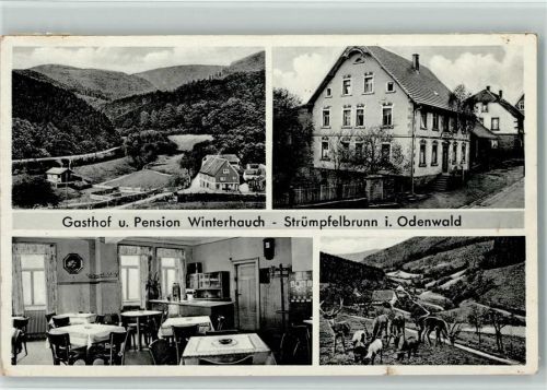 Strümpfelbrunn Gasthof Pension Winterhauch Innenaufnahme Gastraum Hirsche 4-Bildaufnahme