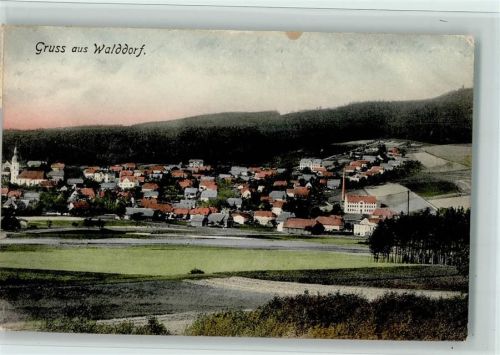 Walddorf 1910 Teilansicht AK