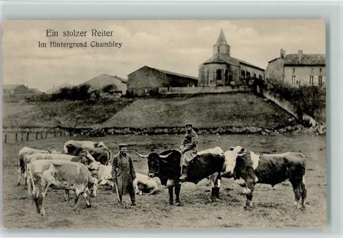 Chambley-Bussieres Ein stolzer Reiter Kühe Bullen