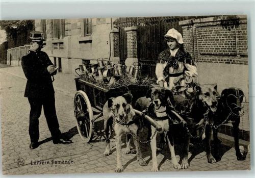 1915 Laitiere Flamande Polizei Kontrolle Verlag Ern. Thill AK