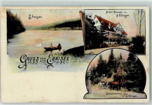 Ebnisee 1907 Hotel Ebnisee Schweizerhaus am See Ruderboot