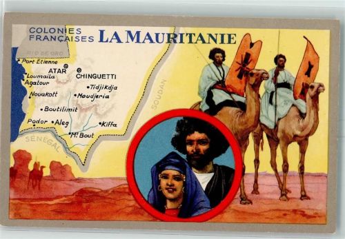KEINE AK Colonies Francaises Volkstypen Kamel