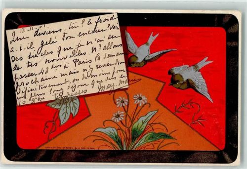 1901 Verlag Koch & Bitriol Dresden Vögel Jugendstil AK