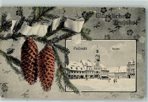 Pulsnitz 1909 Markt Passepartout Winter Tannenzapfen Neujahr