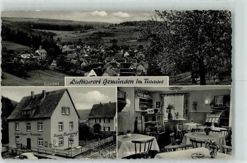 Gemünden Gasthaus-Pension Zum Burghof Gastraum Fernseher Musikbox