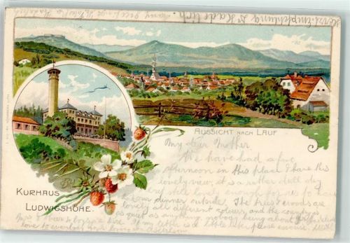 Lauf 1903 Kurhaus Ludwigshöhe Erdbeeren sign Künstlerkarte