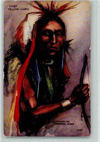 1908 Nr. 5422 Chief Yellow Hawk - Künstlerkarte sign Peterson