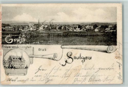 Bad Saulgau 1899 Präparadenanstalt