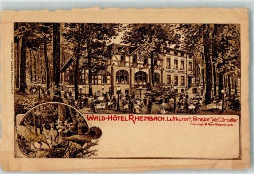 Rheinbach Hotel Reinbach Gartenwirtschaft Rehe Auerhahn