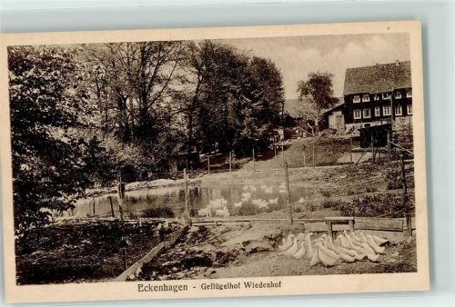 Eckenhagen Geflügelhof Wiedenhof Gänse