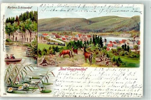 Georgenthal 1905 Kurhaus Schützenhof Hirsch Rehe Teich Seerosen Lithographie
