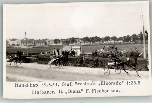 Wien 1934 Stall Breslau : Rlcorado + Hofbauer II Diana