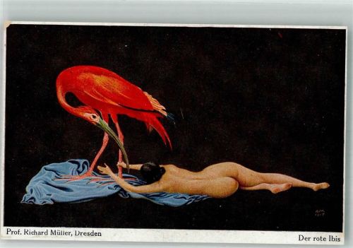 Akt Erotik Der rote Ibis NPG Nr. 252 Müller, R. Künstlerkarte