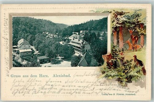 Alexisbad 1903 Alexisbad Rebhuhn Rehbock Passepartout