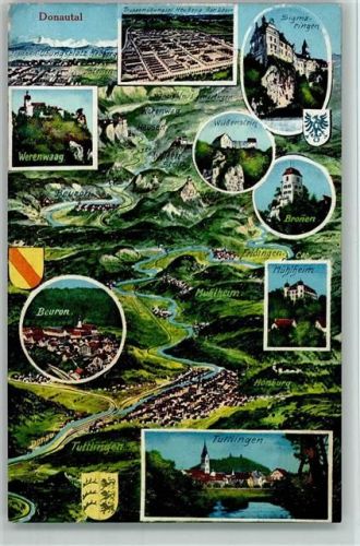 Tuttlingen 6668 Donautal - Wappen - Verlag Sting 51 224 AK